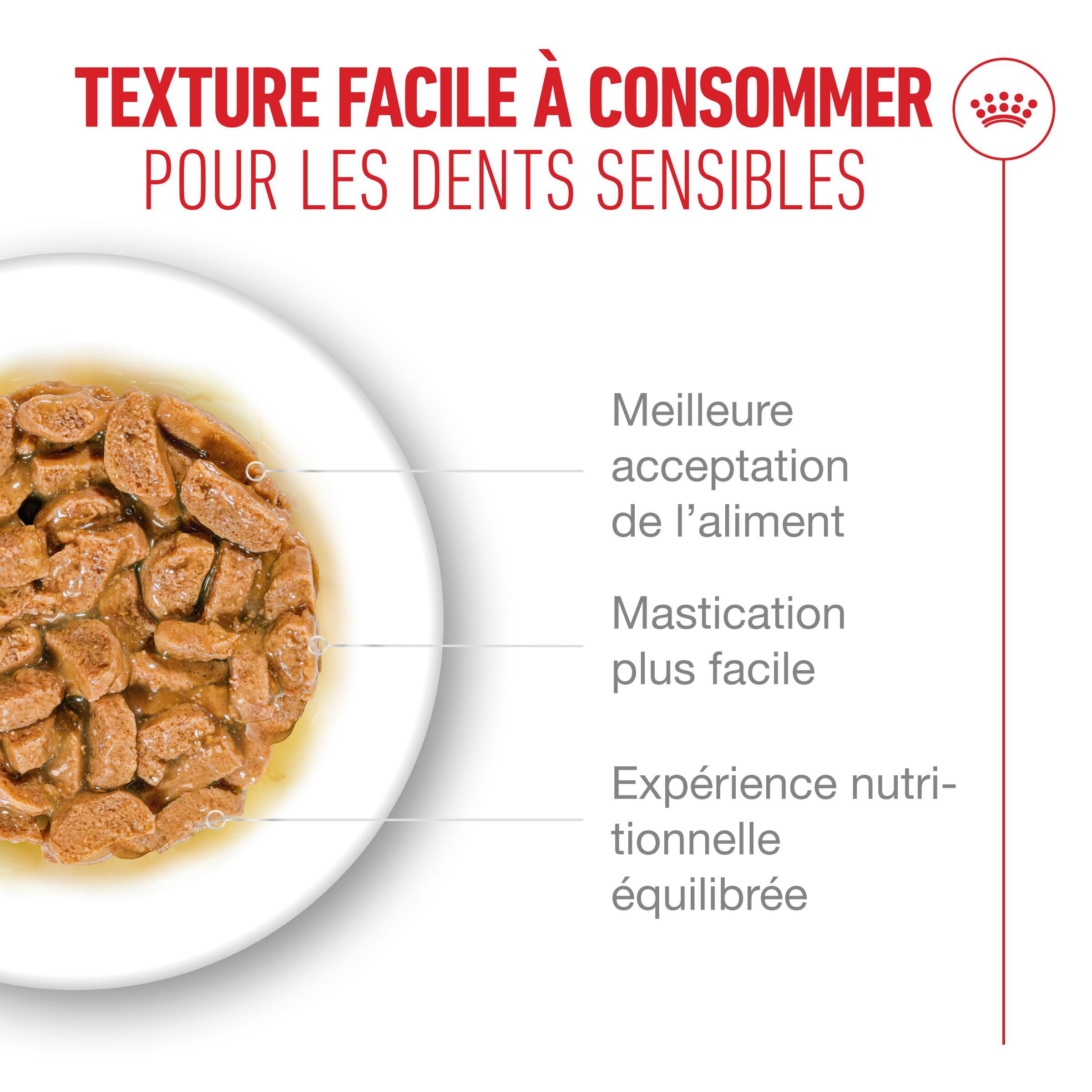 Royal Canin - P&acirc;t&eacute;e en Sauce Ageing 15+ pour Chats Senior - 12x85g Image num&eacute;ro 6