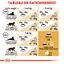 Royal Canin - Croquettes Ragdoll Adult pour Chat - 2Kg Indicateur image numéro 6