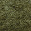 Amtra - Aliment Pro Vegetal Flake pour Poissons Tropicaux - 100ml Indicateur image numéro 2