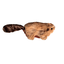 KONG - Jouet Refillables Beaver pour Chats Indicateur image numéro 2