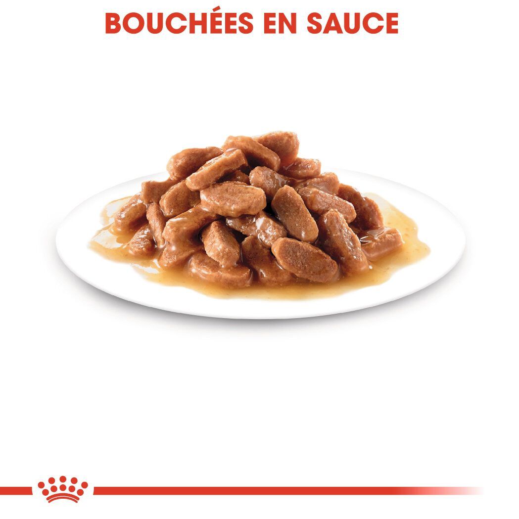 Royal Canin - Sachets Kitten Instinctive en Sauce pour Chat - 12x85g Image num&eacute;ro 5