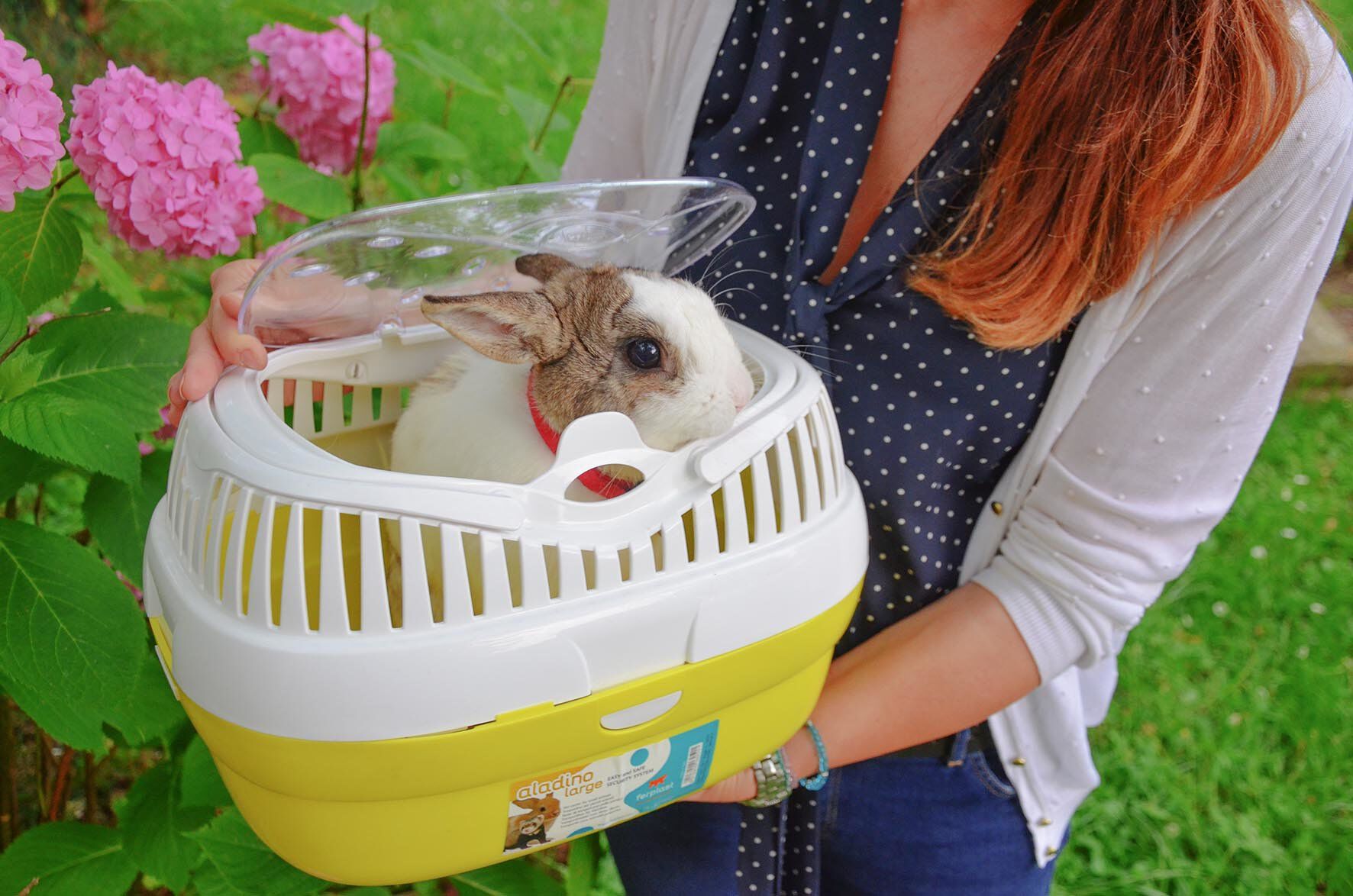 Ferplast - Transport Aladino Vert pour Rongeurs - L Image num&eacute;ro 9