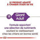 Royal Canin - Croquettes Giant Adult pour Chien - 15Kg image number null