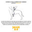 Julius K9 - Harnais Power Rouge pour Chien - S 58/76cm Indicateur image numéro 3