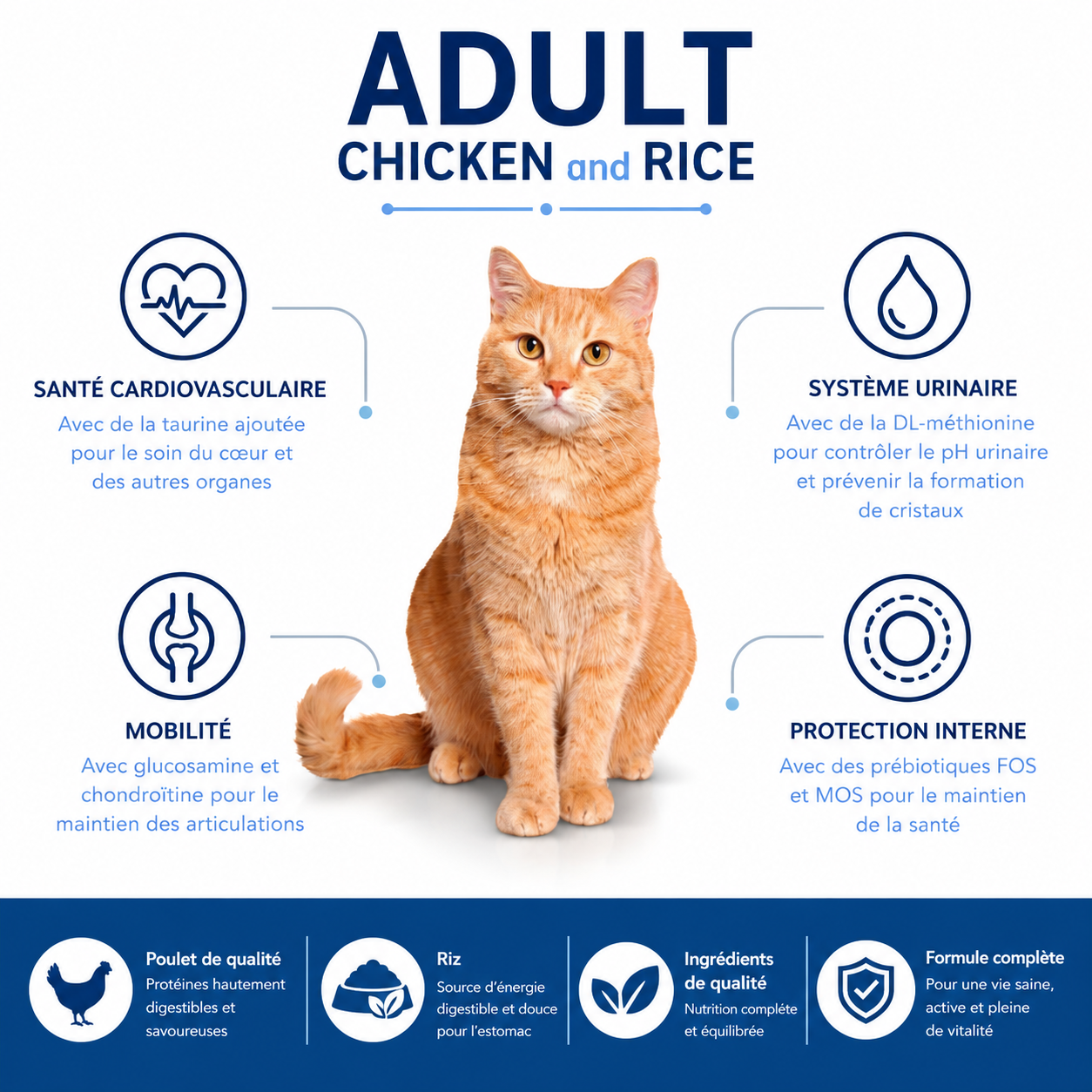 Nath - Croquettes Adult au Poulet et Riz pour Chats - 400g Image num&eacute;ro 2