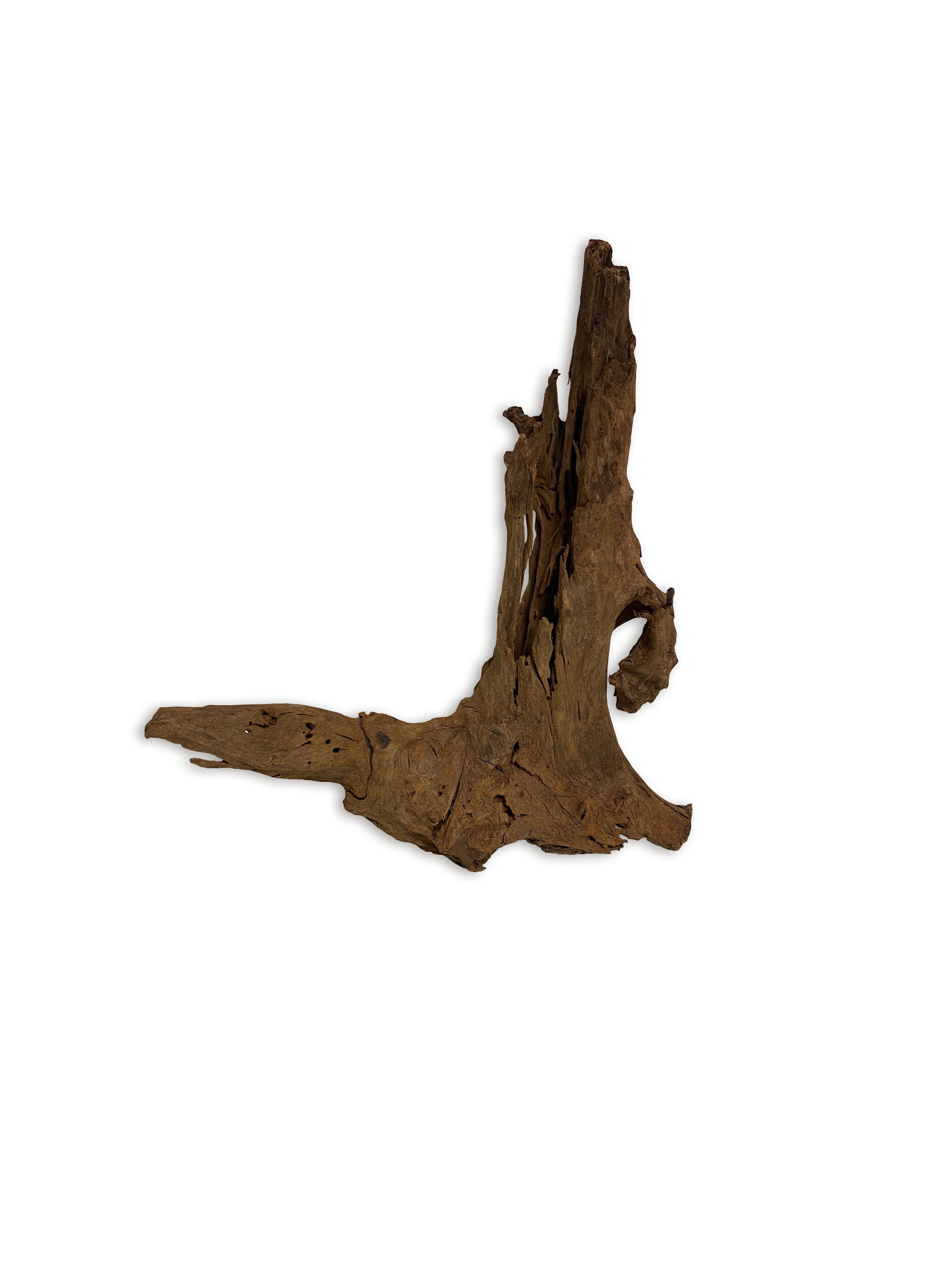 Aquavie - D&eacute;coration Racine Malaisie pour Aquarium - XS Image num&eacute;ro 2