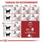 Royal Canin - Croquettes Fit 32 pour Chat Adulte - 4Kg Indicateur image num&eacute;ro 5