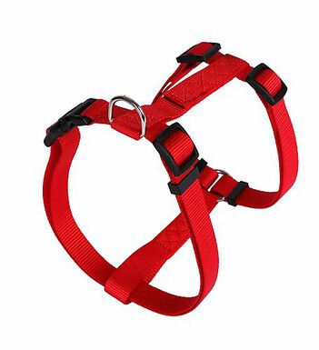 Animalis - Harnais Basic T4 40mm et 74/117cm pour Chien - Rouge