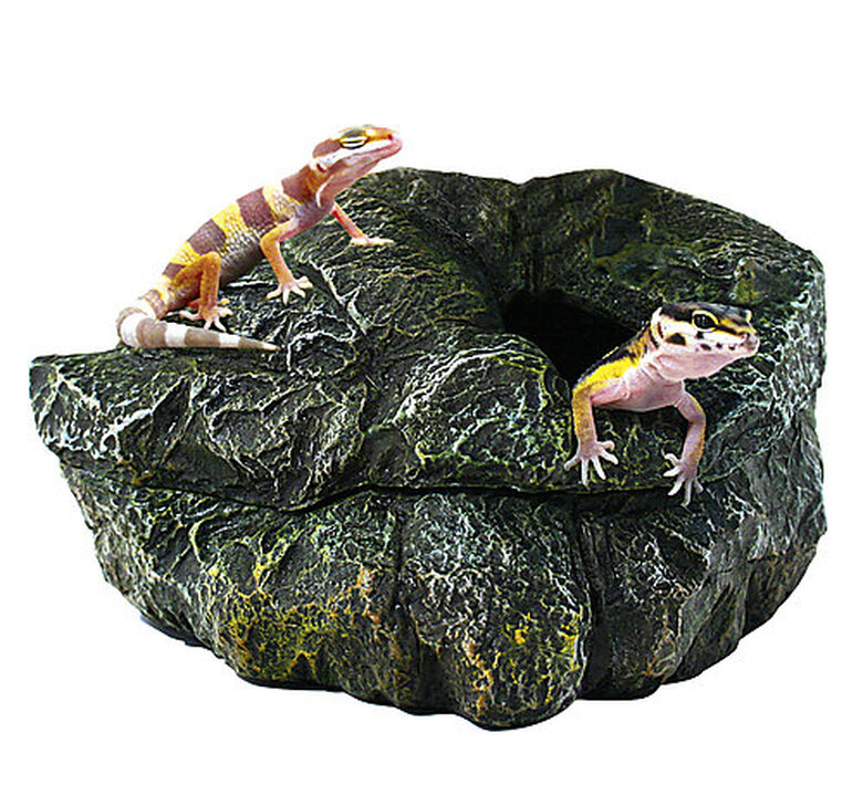 Zoomed - Grotte Repti Shelter pour Reptiles - S image number null