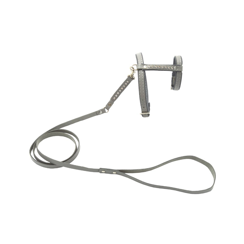 Comme Un Roi - Harnais et Laisse Cuir So Nature Gris pour Chat - TU Image numéro 1 Comme Un Roi - Harnais et Laisse Cuir So Nature Gris pour Chat - TU Image numéro 1