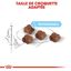 Royal Canin - Croquettes Mother & Babycat pour Chaton - 2Kg Indicateur image numéro 5