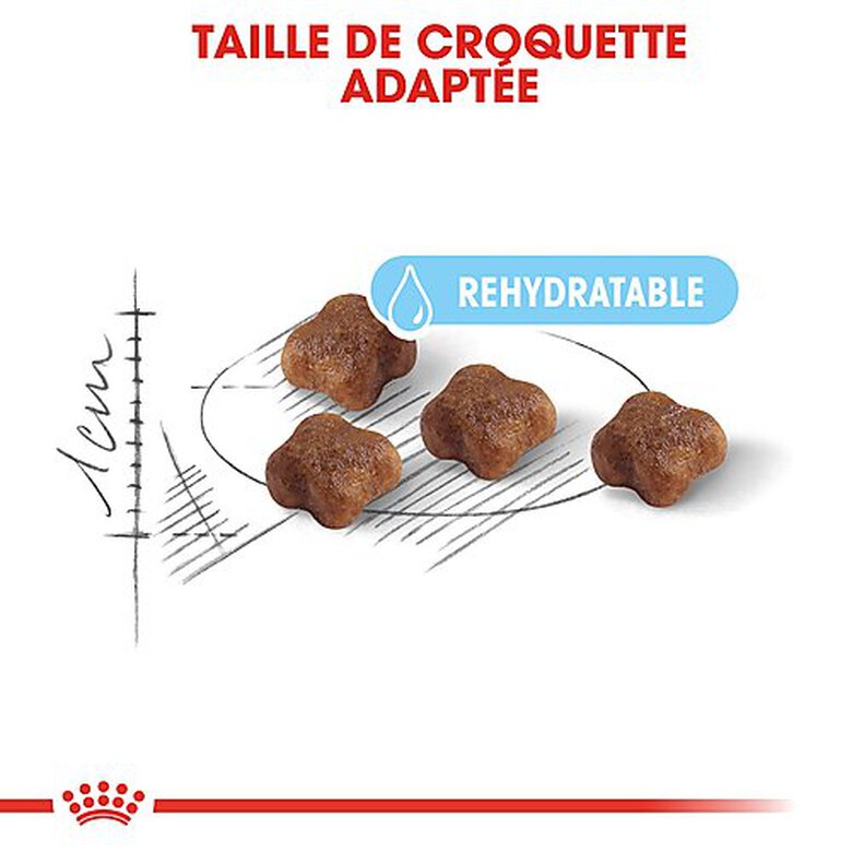 Royal Canin - Croquettes Mother & Babycat pour Chaton - 2Kg image number null