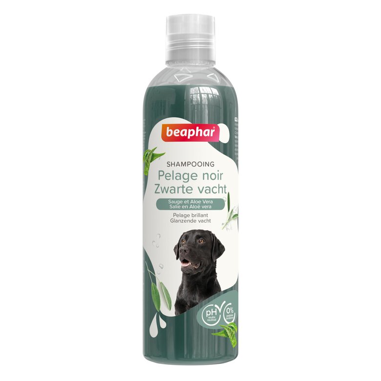 Beaphar - Shampooing Essentiel pelage noir pour chien - 250 ml Image numéro 1 Beaphar - Shampooing Essentiel pelage noir pour chien - 250 ml Image numéro 1