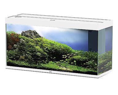 Ciano - Aquarium Emotions Nature Pro 120 - Blanc