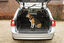 Savic - Cage de Transport Dog Cottage pour Chien - 76cm Indicateur image numéro 4