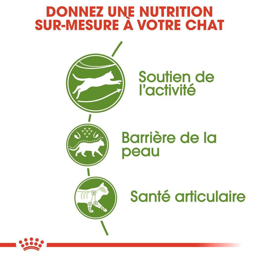 Royal Canin - Croquettes Outdoor 30 pour Chat - 4Kg Image num&eacute;ro 4