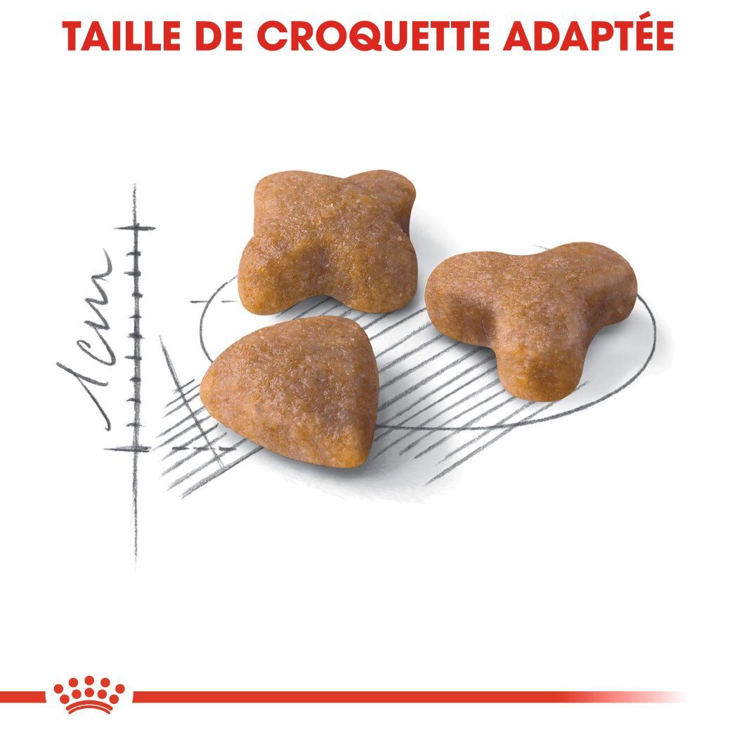 Royal Canin - Croquettes Sensible 33 pour Chat Adulte - 4Kg Image num&eacute;ro 4