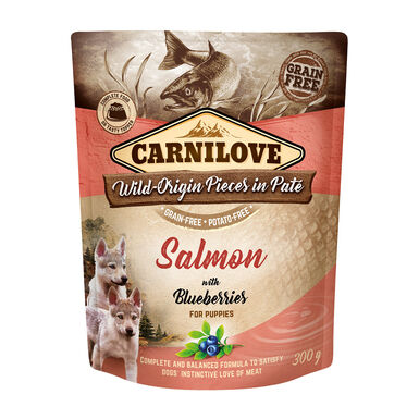 CARNILOVE - CHIEN PUPPY SAUMON ET MYRTILLES POCHON - 300 GR