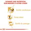 Royal Canin - Croquettes Cavalier King Charles pour Chien Adulte - 7,5Kg Indicateur image numéro 5