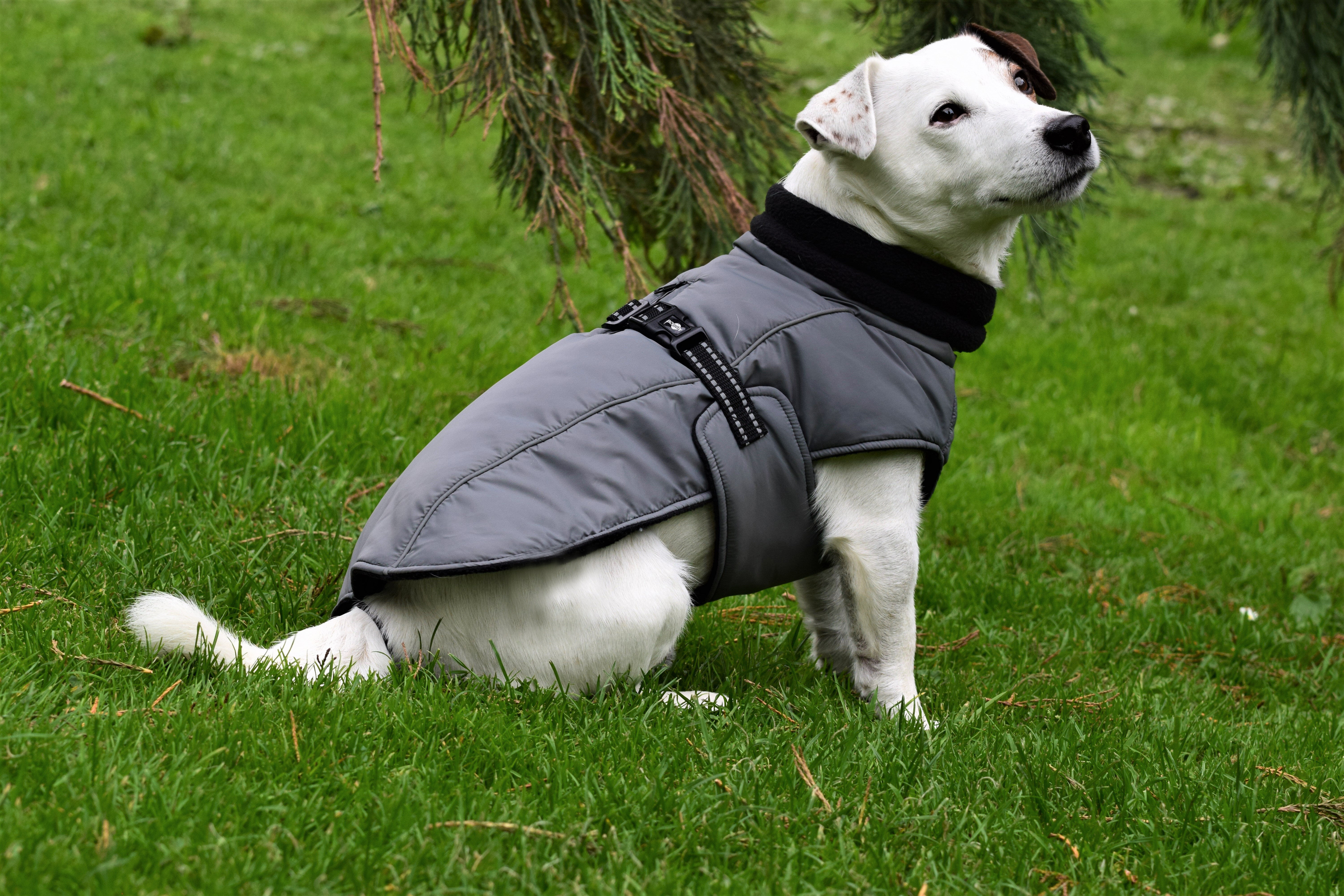 Croci MANTEAU URBAN GRIS 30S Animalis
