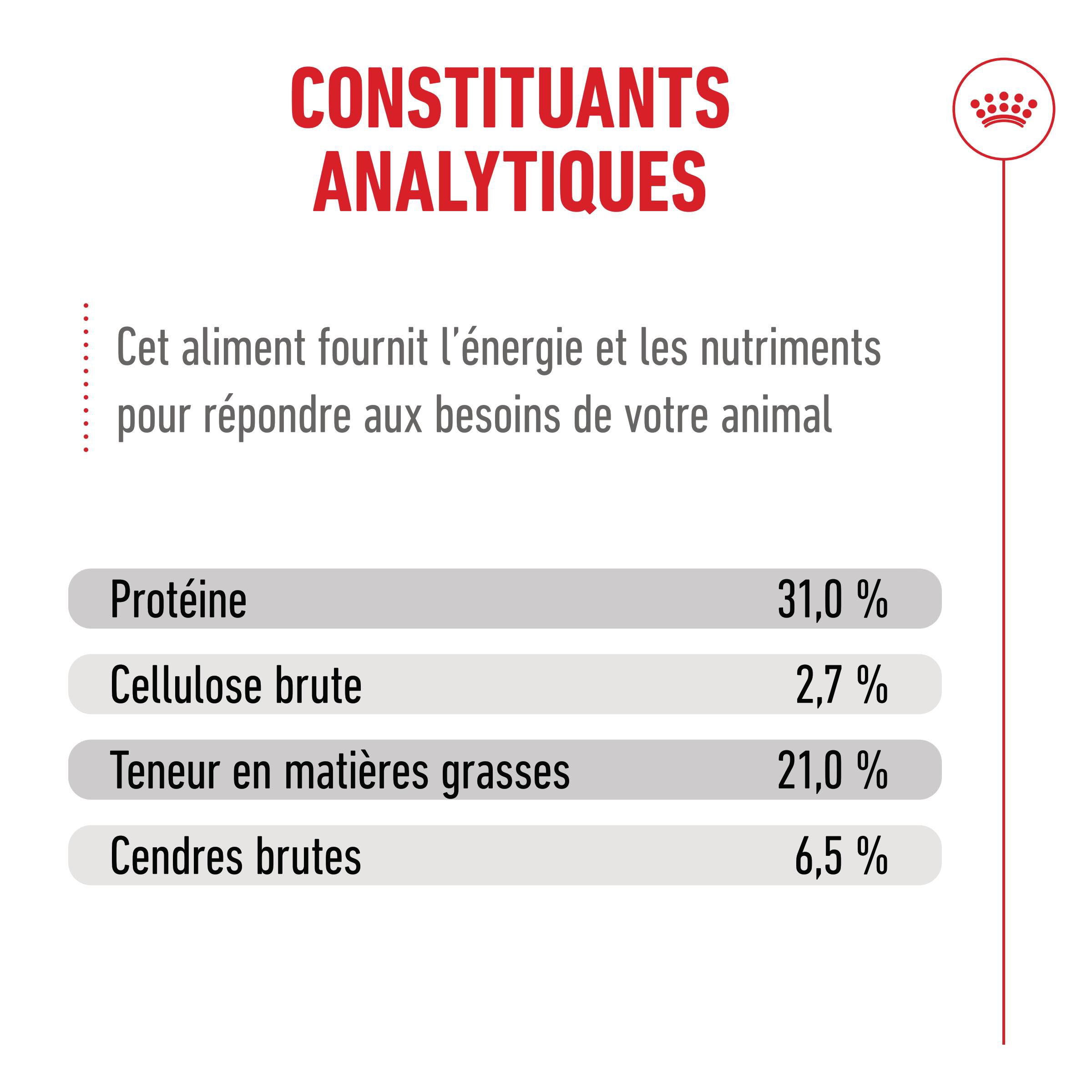 Royal Canin - Croquettes Ageing 15+ pour Chats Senior - 400g Image num&eacute;ro 8