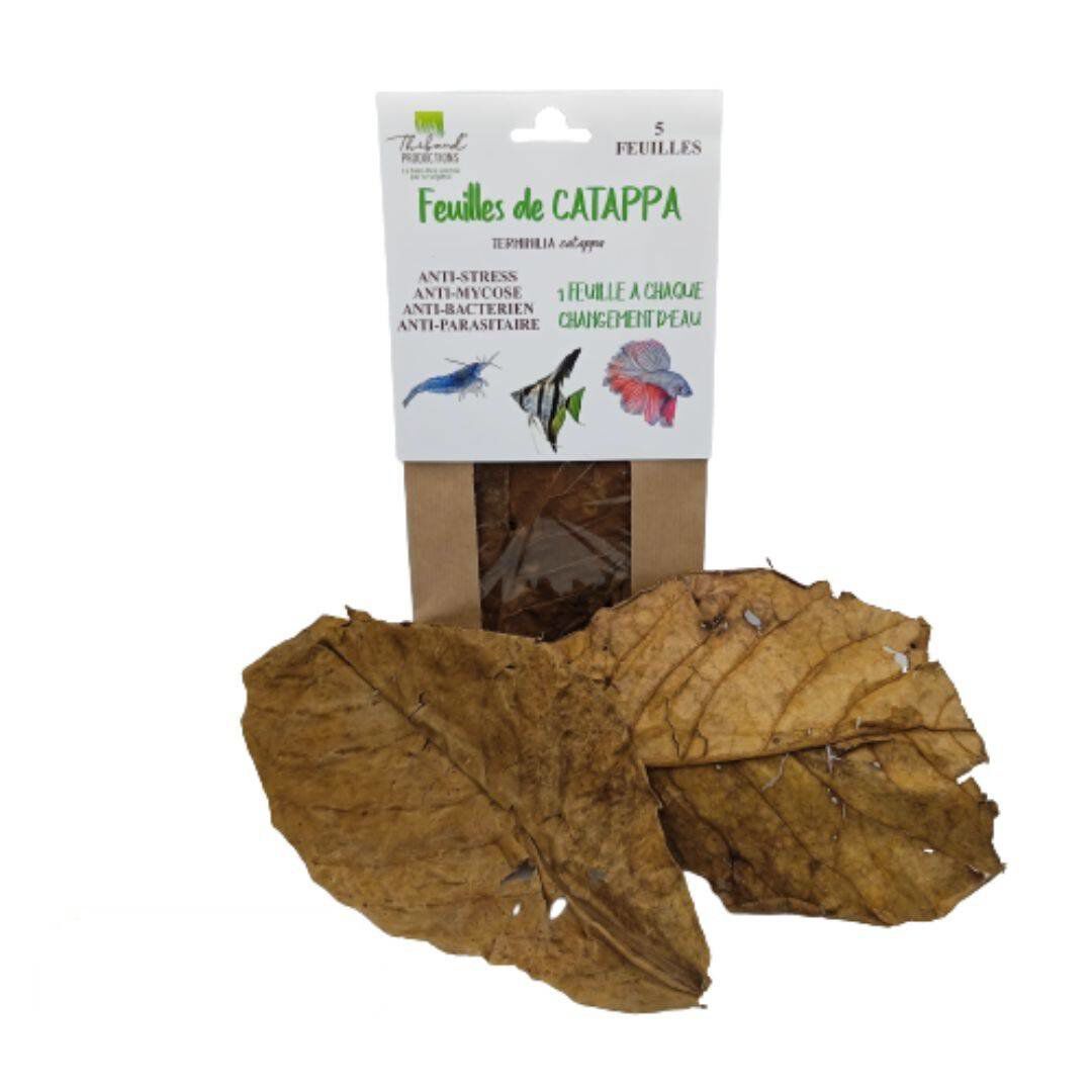 Thibaud - Feuilles de Catappa pour Poissons d'Eau Douce - x5 Image num&eacute;ro 1