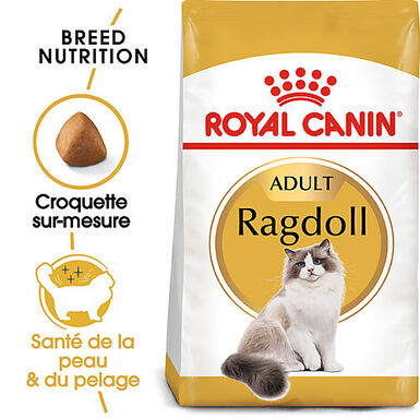 Royal Canin - Croquettes Ragdoll Adult Pour Chat