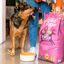 Edgard & Cooper - Croquettes Naturelles Adulte sans Céréales au Chevreuil et Canard frais pour Chien - 12Kg Indicateur image numéro 3