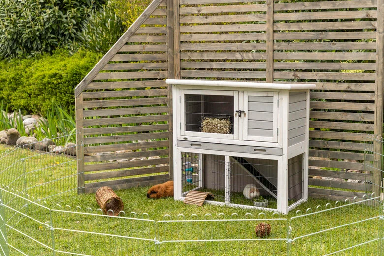 Trixie - natura étable cochon d'Inde avec enclos gris/blanc - 104x97x52cm Image numéro 1 Trixie - natura étable cochon d'Inde avec enclos gris/blanc - 104x97x52cm Image numéro 1