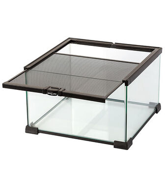 Reptizoo - Terrarium pour Reptiles - 31x31x20cm