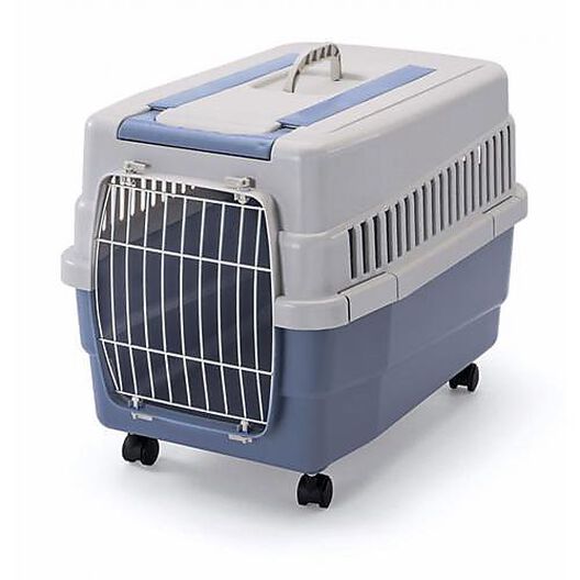Caisses de transport pour chien en ligne