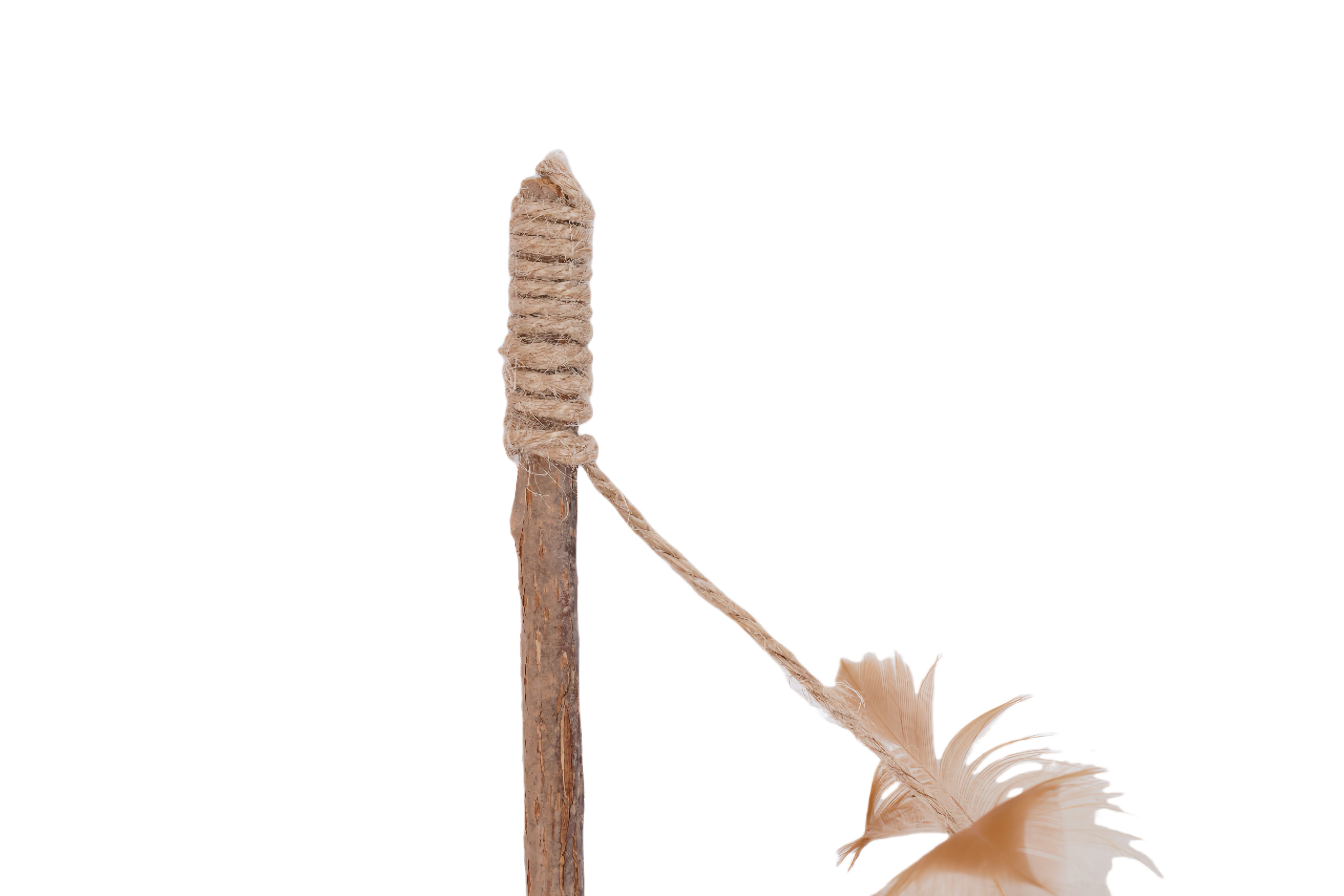 Tootoy! - Canne &agrave; P&ecirc;che Forme de Coeur avec Herbe &agrave; Chat - 25cm Image num&eacute;ro 3