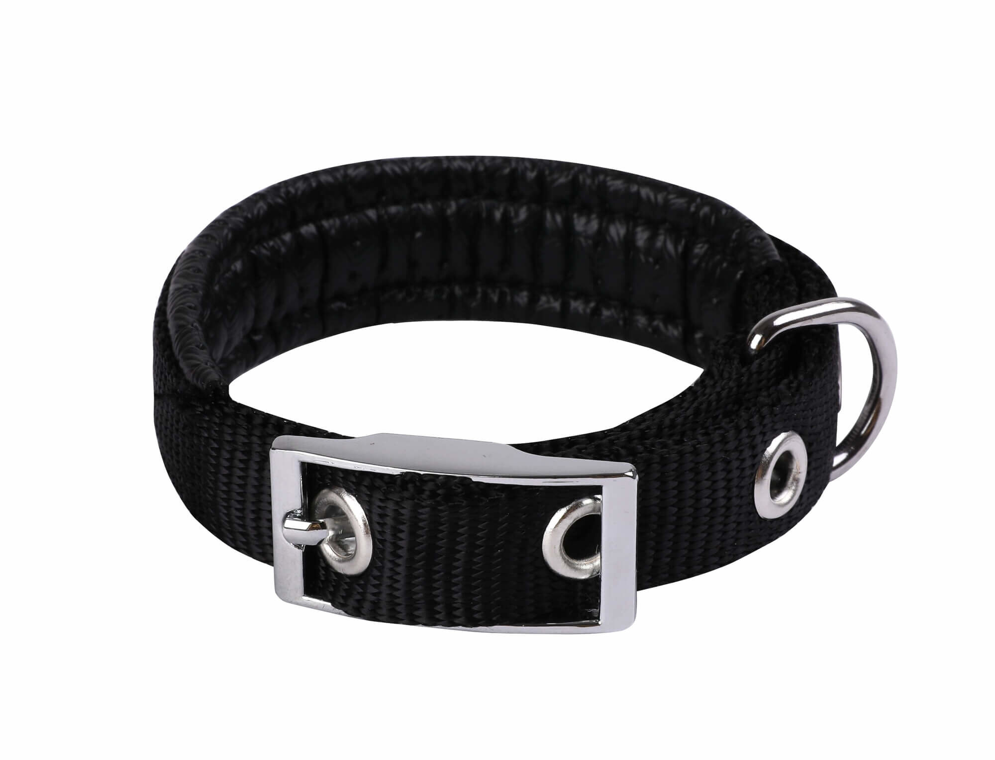 Animalis - Collier Basic Confort Noir pour Chien - 15mm et 35cm Image num&eacute;ro 1