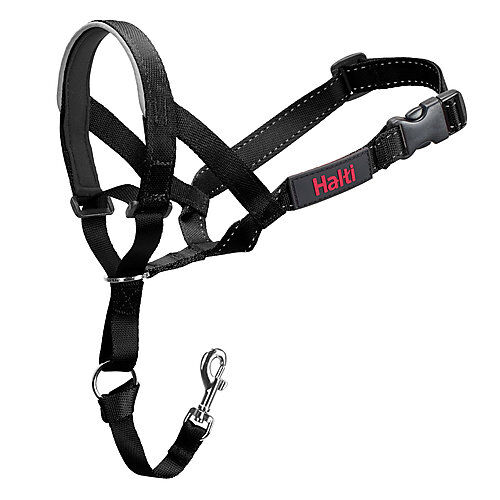 Halti - Licol Headcollar Noir pour Chiens - T1 Image num&eacute;ro 2