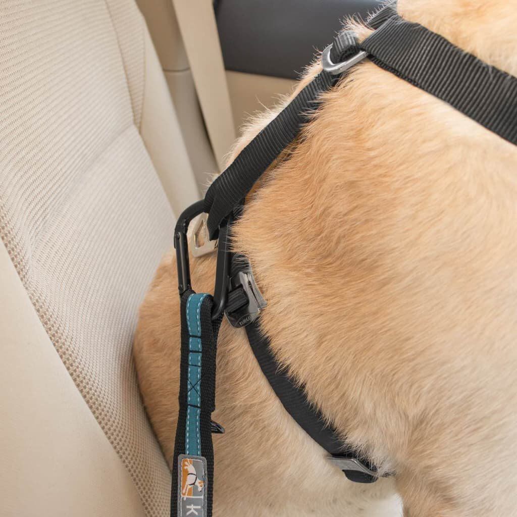 Kurgo - Attache S&eacute;curit&eacute; Direct Seat-belt Voiture pour Chien - Bleu Image num&eacute;ro 3