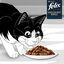 FELIX -  Pochons Succulent Grill Selection de la Campagne à la Viande en Sauce pour chats adultes  - 12X80g Indicateur image numéro 8