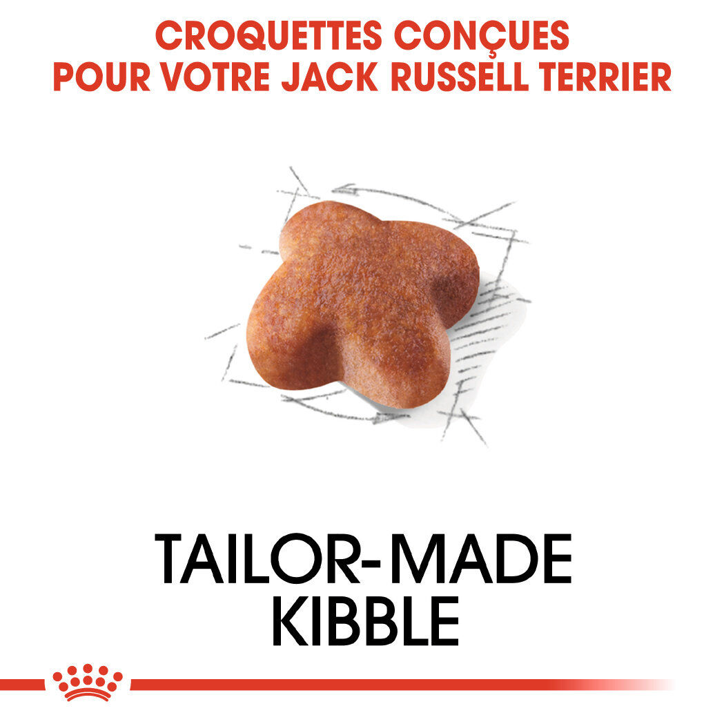 Royal Canin - Croquettes Jack Russell Adult pour Chiens - 1,5Kg Image num&eacute;ro 3