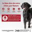 Wellness CORE - Repas Complet 95% de Bœuf pour Chien - 400g Indicateur image numéro 3