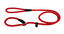 Animalis - Laisse Corde 1/2 Étrangleur de 160cm pour Chien - Rouge Indicateur image numéro 2