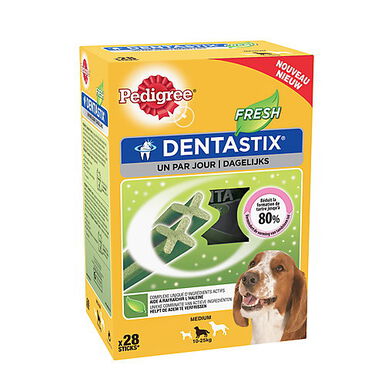 Pedigree - Friandises Dentastix Fresh pour Chien de Moyenne Taille - x28