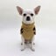 Gotoo - Pull Motif L&eacute;opard pour Chiens - 20cm Indicateur image num&eacute;ro 4