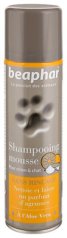 Beaphar - Spray Shampoing Mousse pour Chiens et Chats - 250 ml image number null