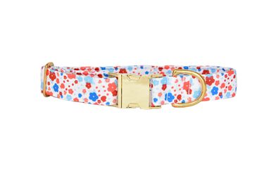 Pompon & Pets - Collier Spring pour Chiens