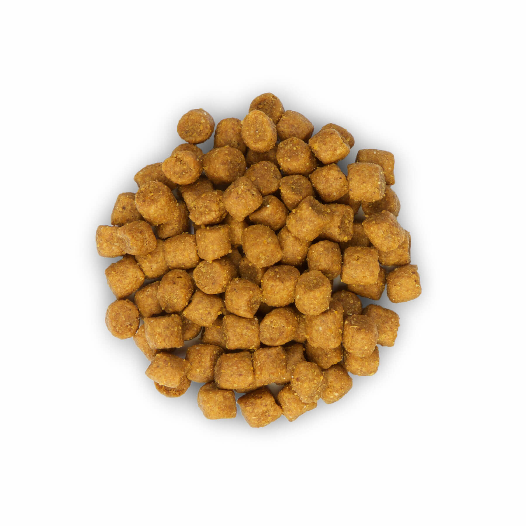 Hill's Science Plan - Croquettes au Poisson pour Chat - 2Kg Image num&eacute;ro 3