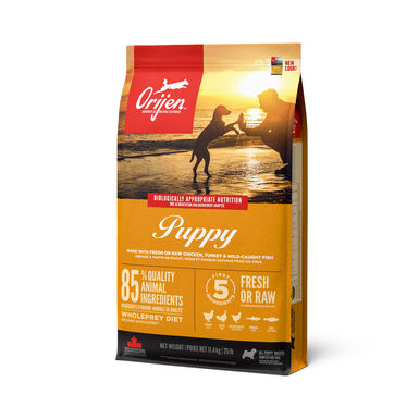 Orijen - Croquettes Puppy pour Chiot