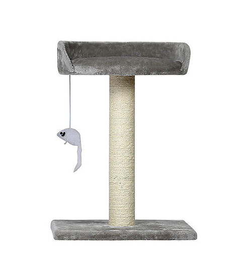 Animalis - Arbre à Chat Poteau avec Sofa - Gris image number null