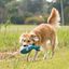 KONG - Jouet Pieuvre Cuteseas Octopus pour Chiens Indicateur image numéro 4