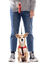Gotoo - Laisse enrouleur Rouge pour Chien - S Indicateur image numéro 2