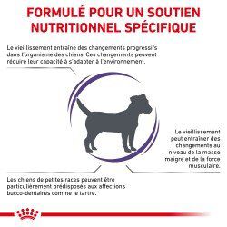 Royal Canin - Croquettes Expert Mature Consult Small Dogs pour Chiens - 3,5Kg Image num&eacute;ro 3