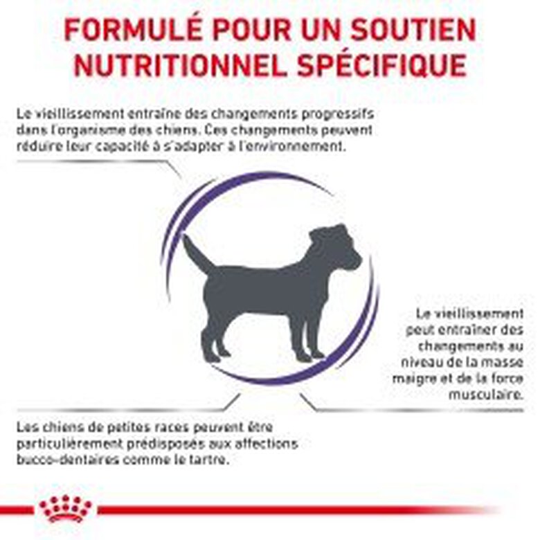 Royal Canin - Croquettes Expert Mature Consult Small Dogs pour Chiens - 3,5Kg Image numéro 3 Royal Canin - Croquettes Expert Mature Consult Small Dogs pour Chiens - 3,5Kg Image numéro 3